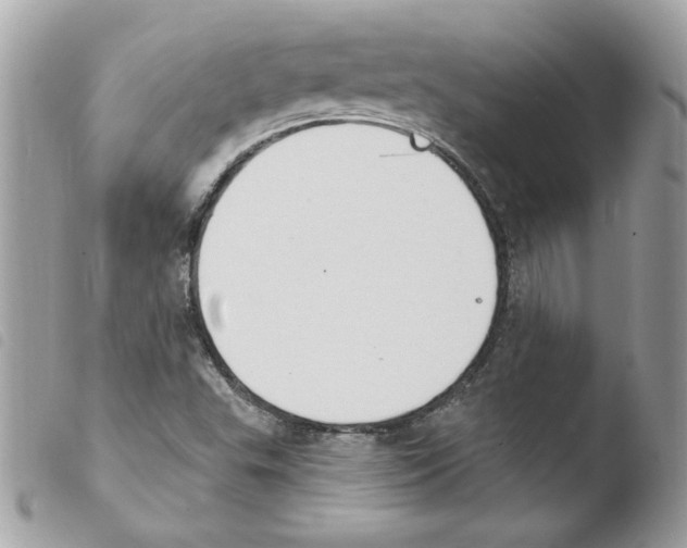 X0000103951503200810171826