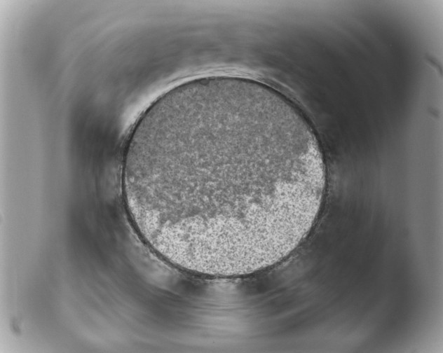 X0000103951504200810171826