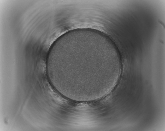 X0000103951505200810171826
