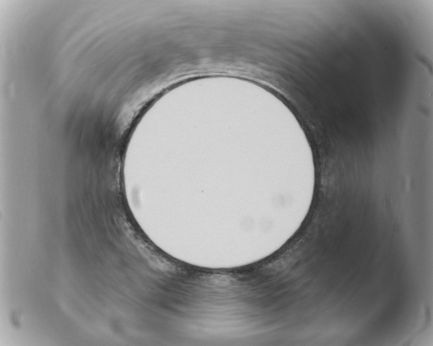 X0000103951507200810171826