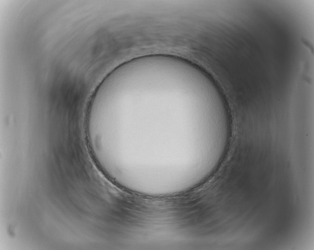 X0000103951508200810171826