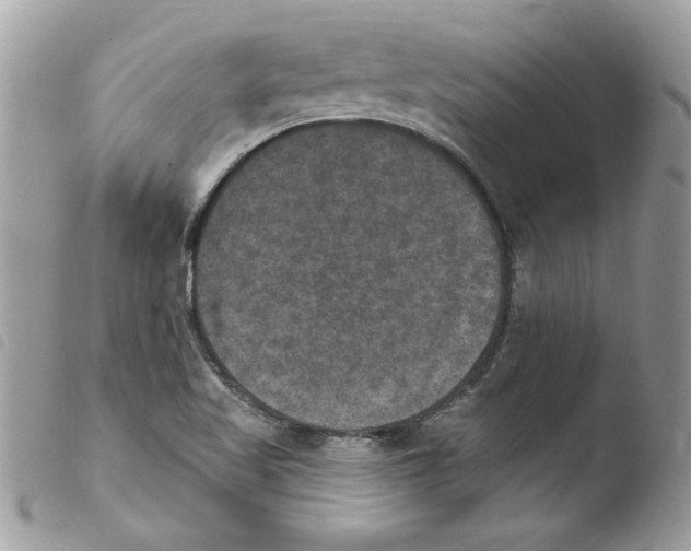 X0000103951509200810171826