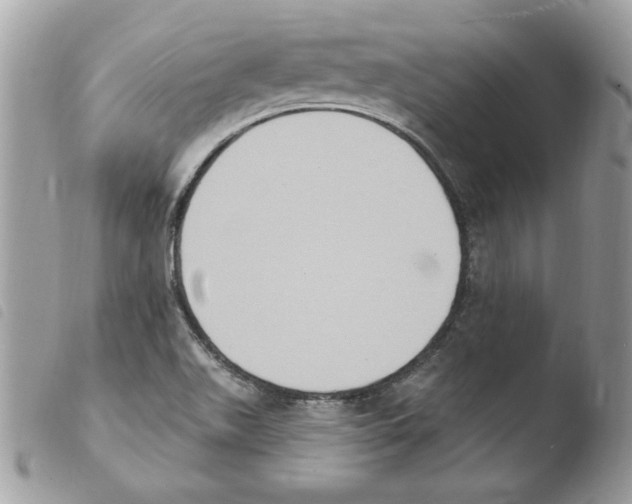 X0000103951511200810171826
