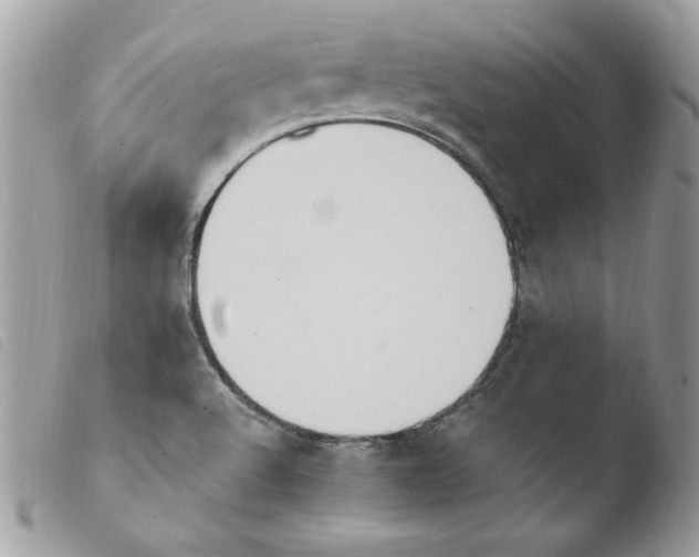 X0000103951512200810171826