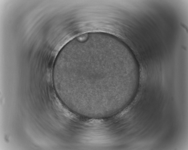 X0000103951513200810171826