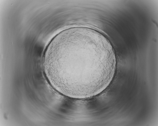 X0000103951514200810171826