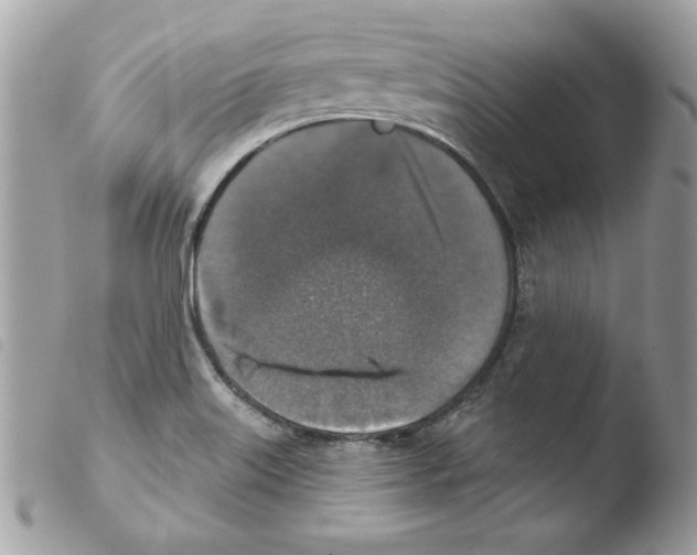 X0000103951515200810171826