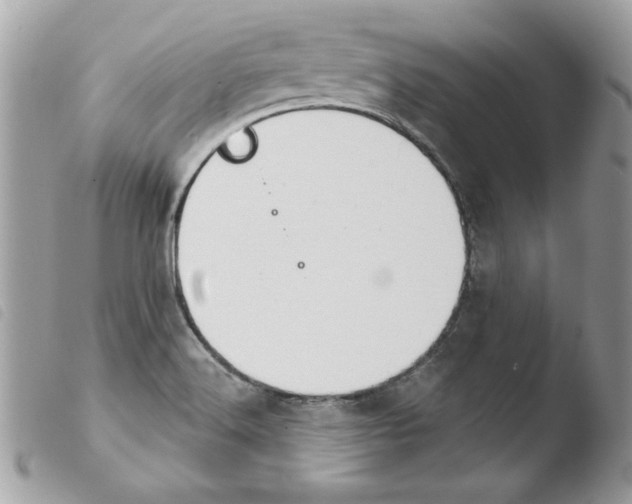 X0000103951516200810171826