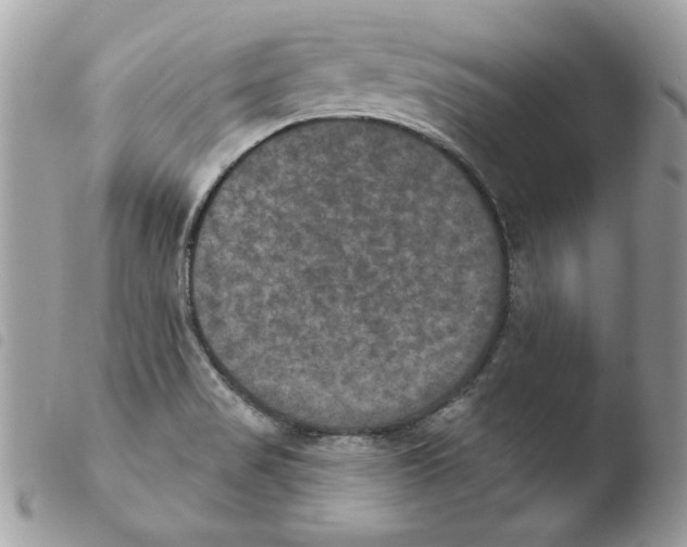 X0000103951517200810171826