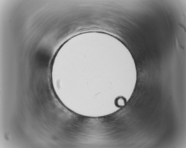 X0000103951518200810171826
