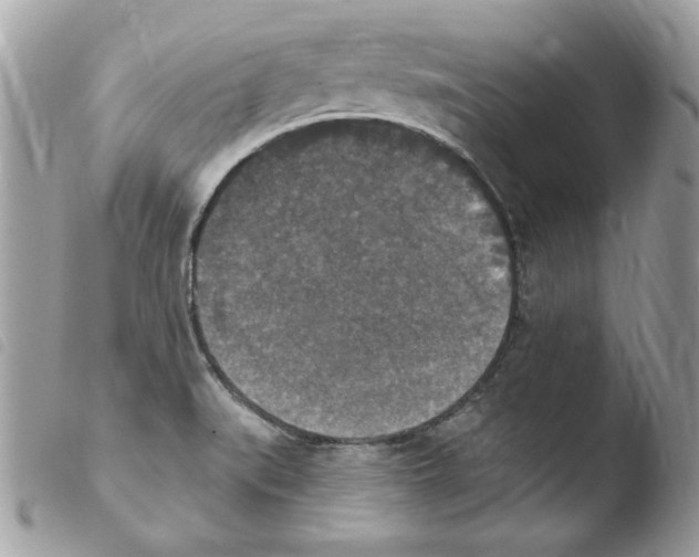 X0000103951519200810171826