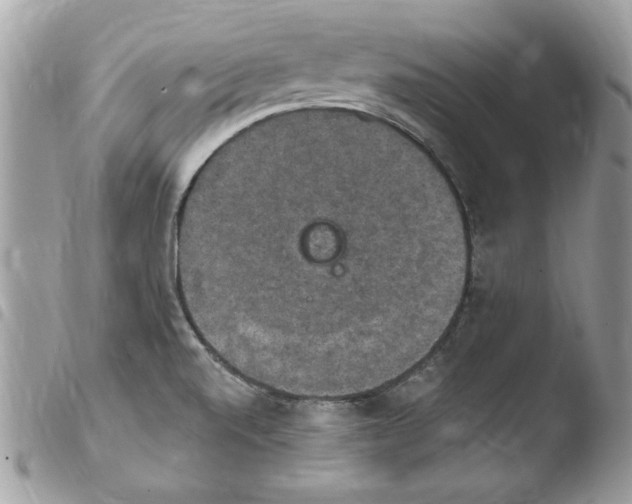 X0000103951520200810171826