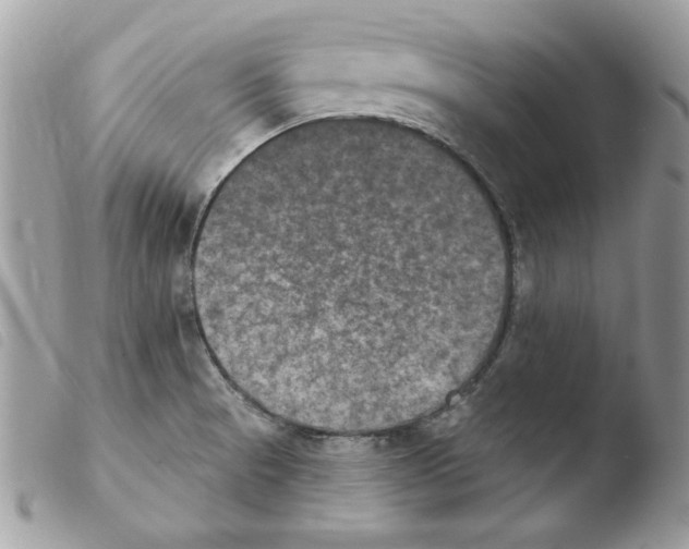 X0000103951521200810171826