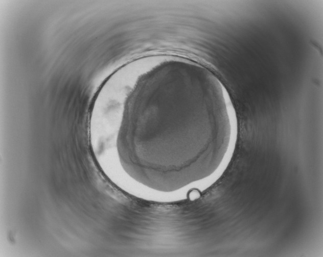 X0000103951522200810171826