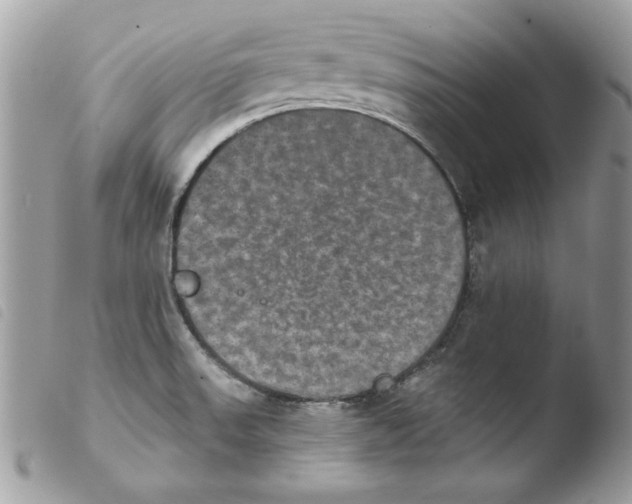 X0000103951523200810171826