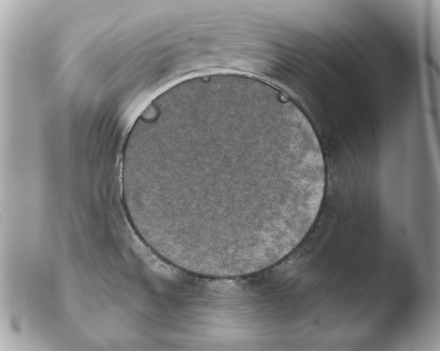 X0000103951524200810171826