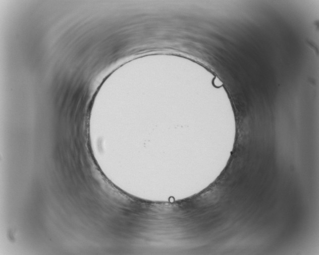 X0000103951526200810171826