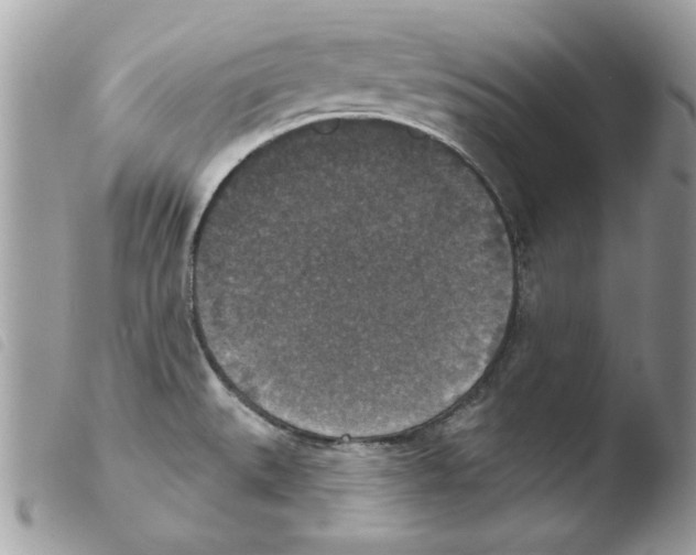 X0000103951527200810171826