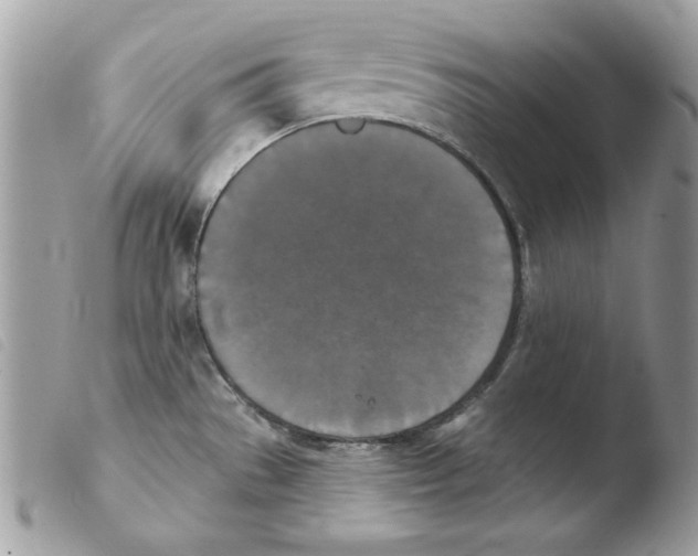 X0000103951529200810171826