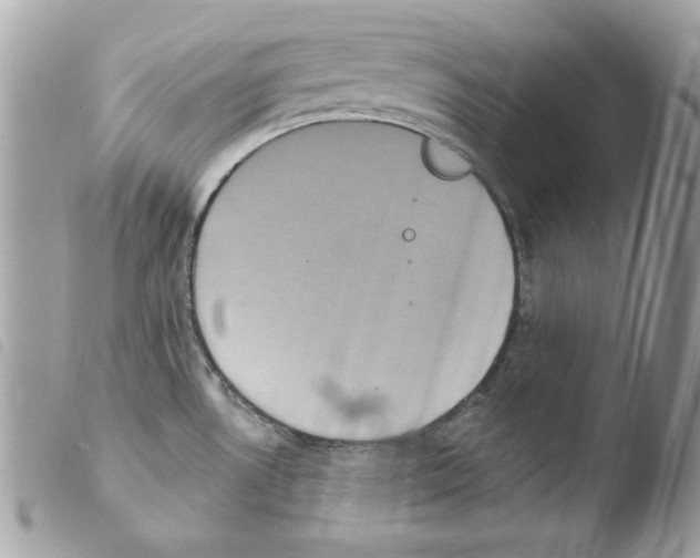 X0000103951530200810171826