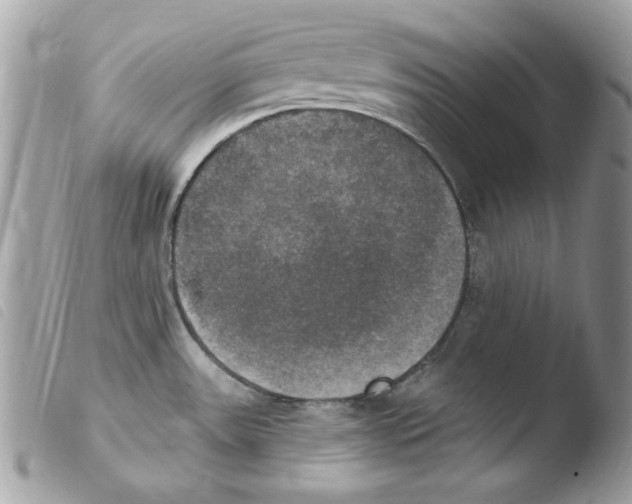 X0000103951531200810171826