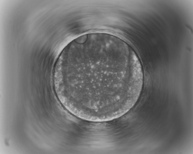 X0000103951533200810171826