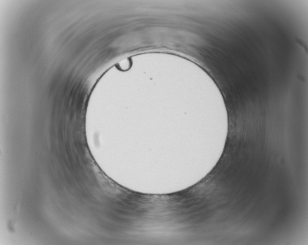X0000103951534200810171826