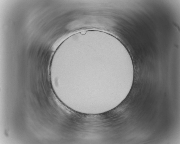 X0000103951535200810171826