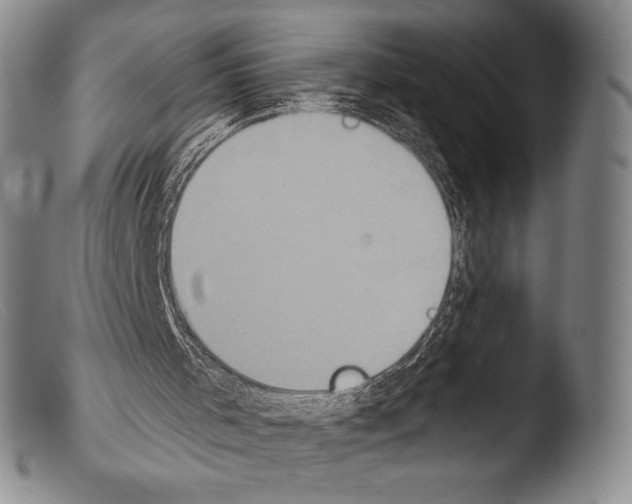 X0000103950001200810311601