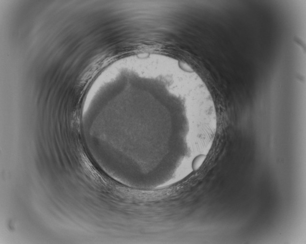 X0000103950002200810311601