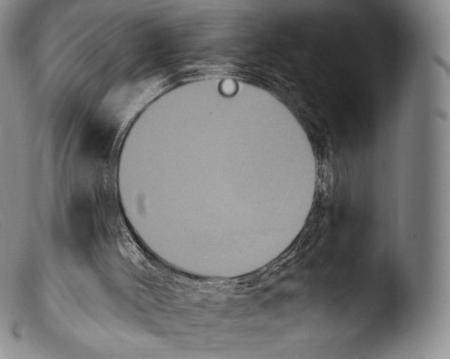 X0000103950004200810311601