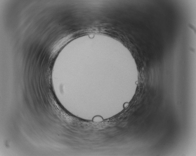 X0000103950005200810311601