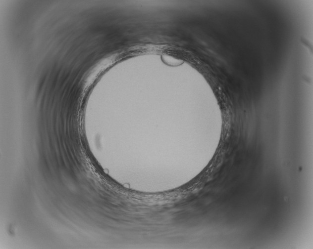 X0000103950006200810311601