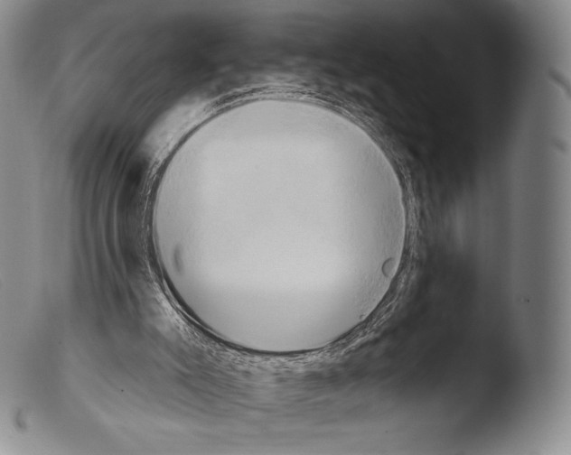 X0000103950007200810311601