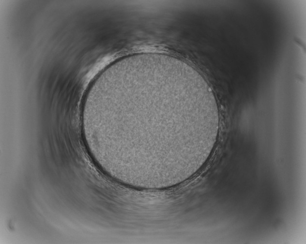 X0000103950008200810311601