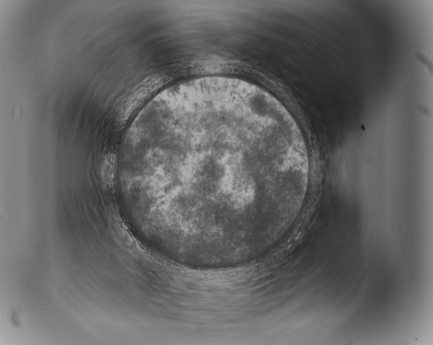 X0000103950010200810311601