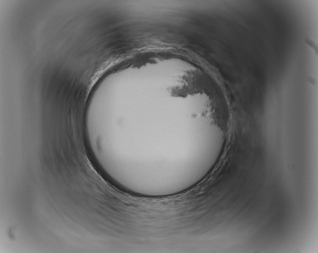 X0000103950011200810311601