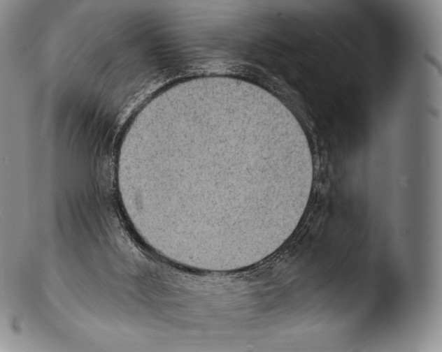 X0000103950012200810311601