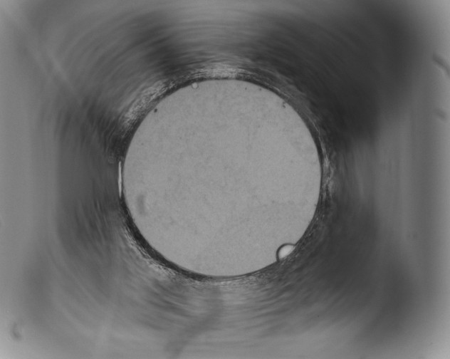 X0000103950013200810311601