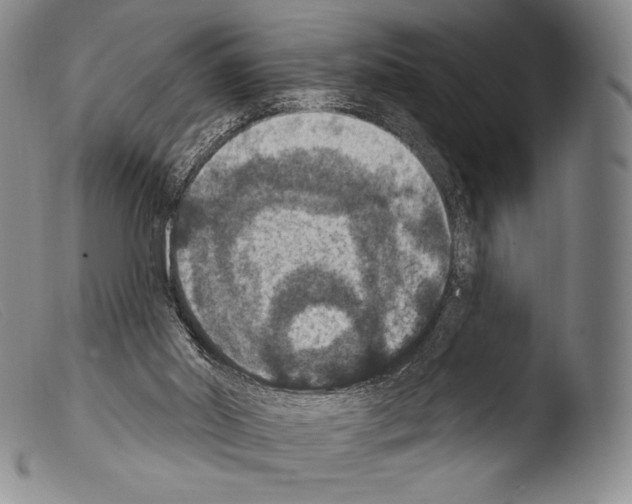 X0000103950014200810311601