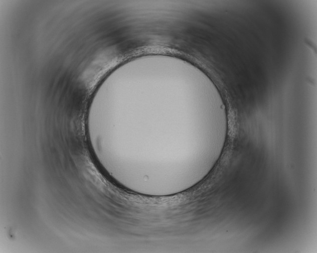 X0000103950015200810311601