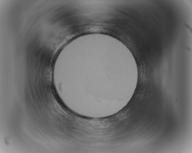 X0000103950016200810311601