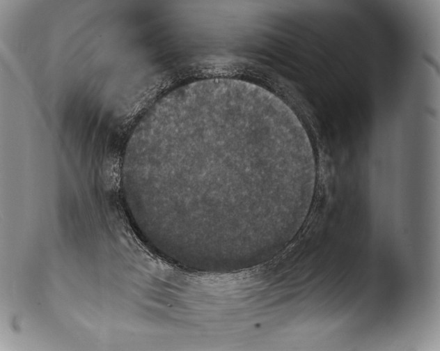 X0000103950017200810311601