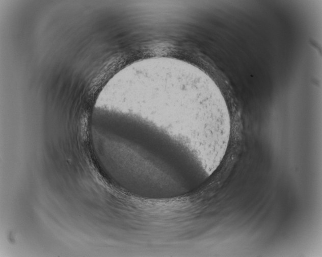X0000103950018200810311601