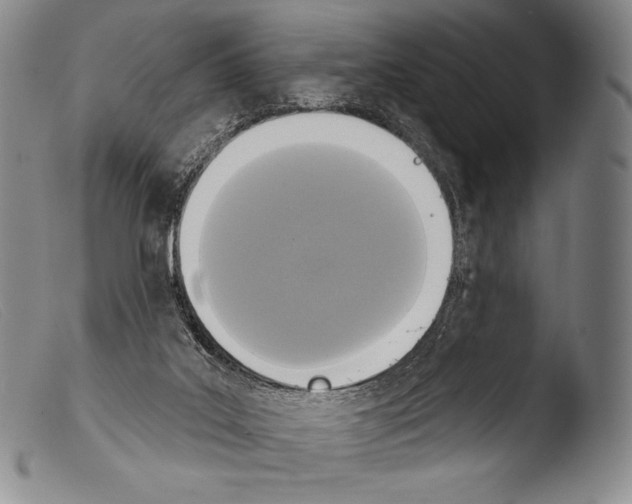 X0000103950019200810311601