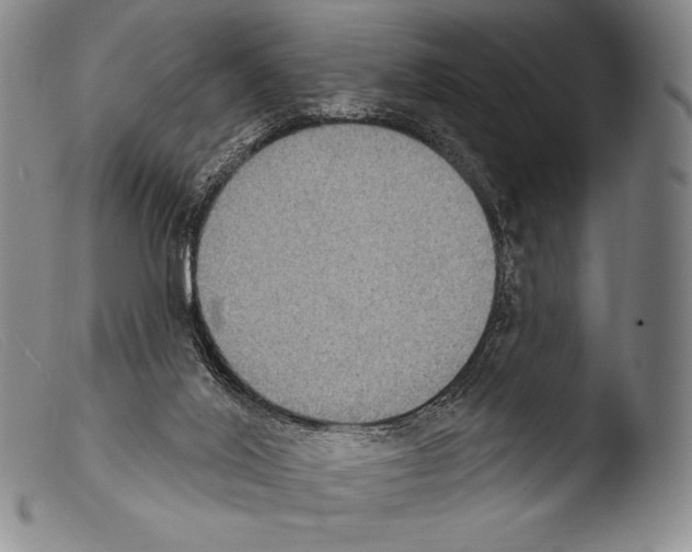 X0000103950020200810311600