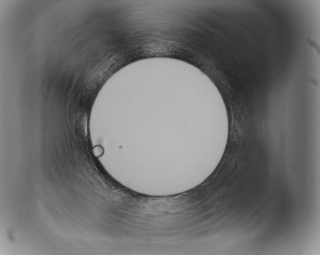 X0000103950021200810311600