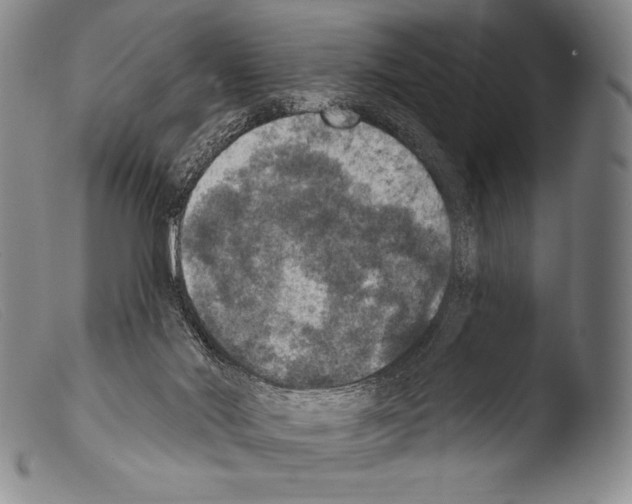 X0000103950022200810311600