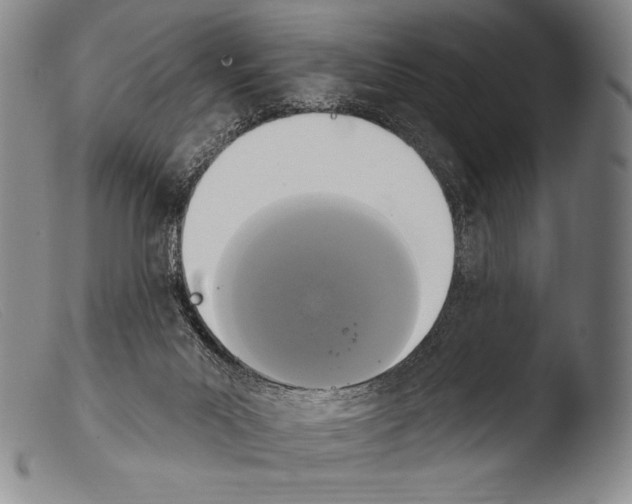 X0000103950023200810311600