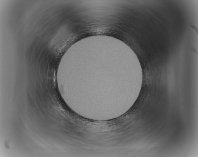 X0000103950024200810311600